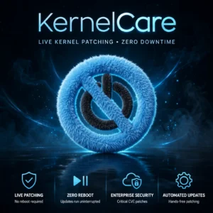 KernelCare Licence